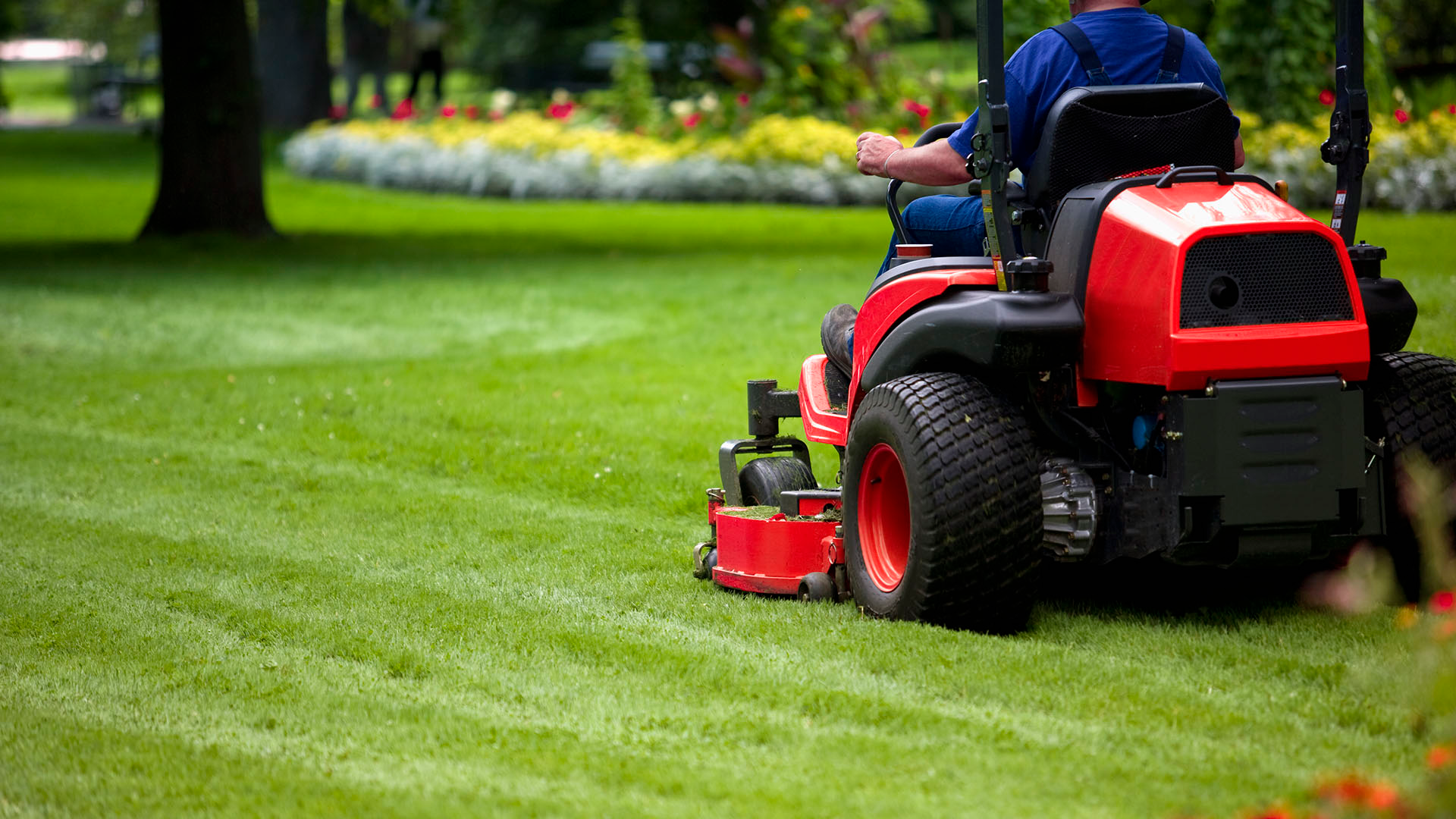 Advanced Outdoor Solutions for Lasting Care in Union City, CA