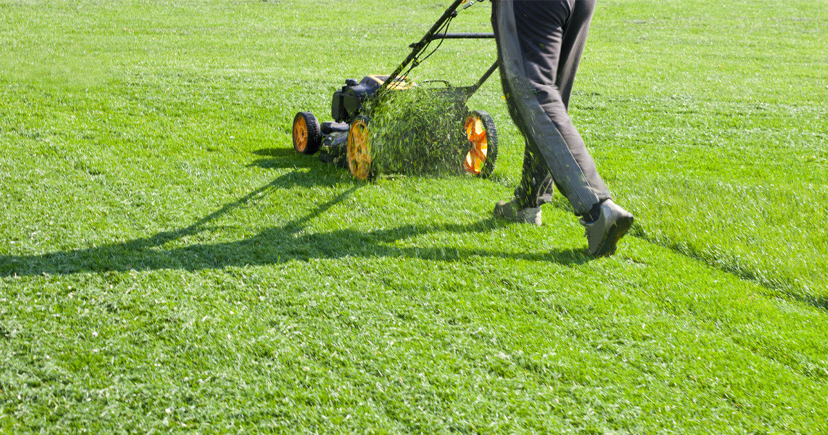 Lawn Cleanup Services in Fremont, CA