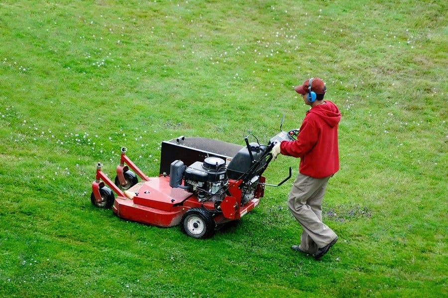 Lawn Clean Up Services in Newark; CA