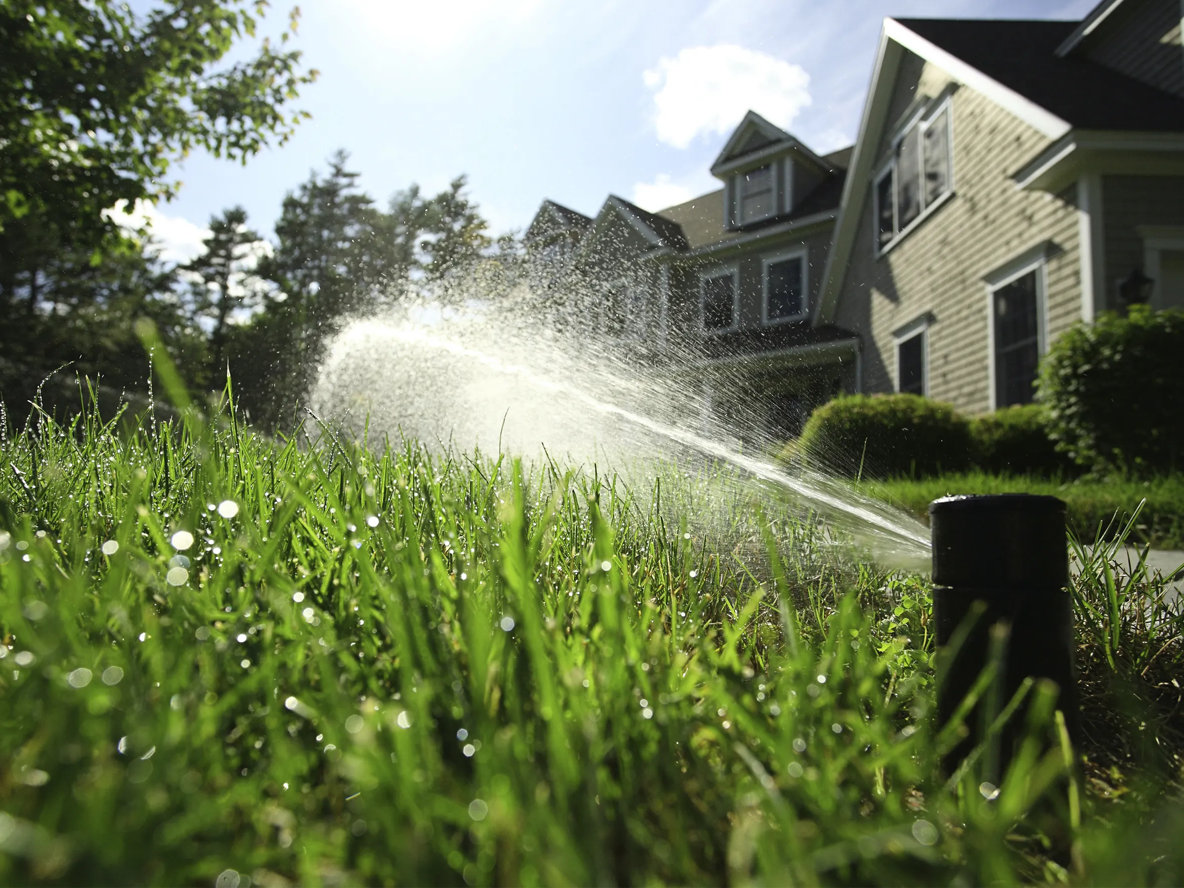 Lawn Irrigation Services in Newark, CA