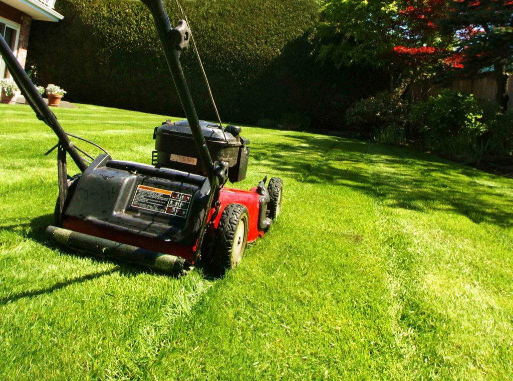 Lawn Maintenance Services in San Lorenzo, CA